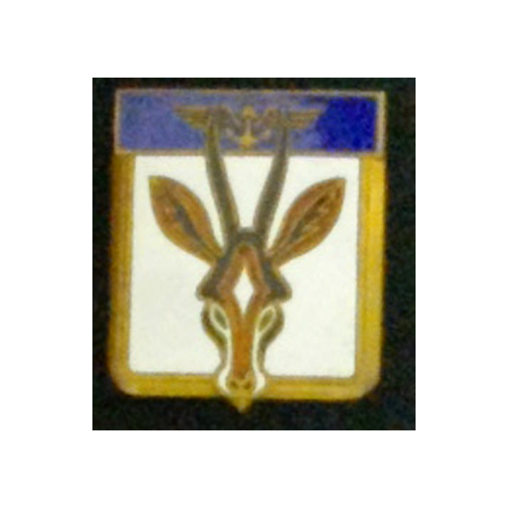 FLOTILLE 21 F insigne métallique Flotille 21 F fabrication Drago Paris