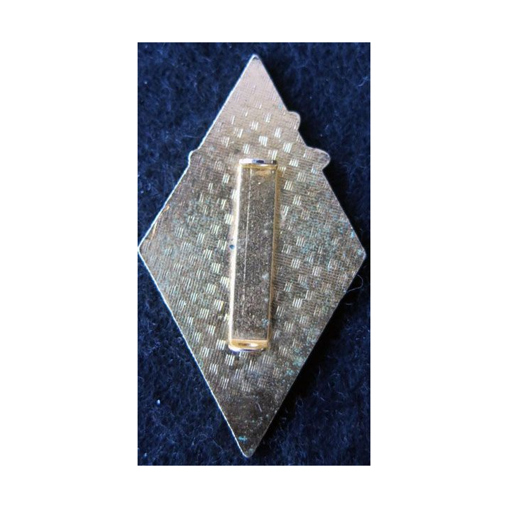 159° RIA : 159° régiment d’infanterie alpine fabrication non spécifiée émail plaquette pliée à 2 anneaux