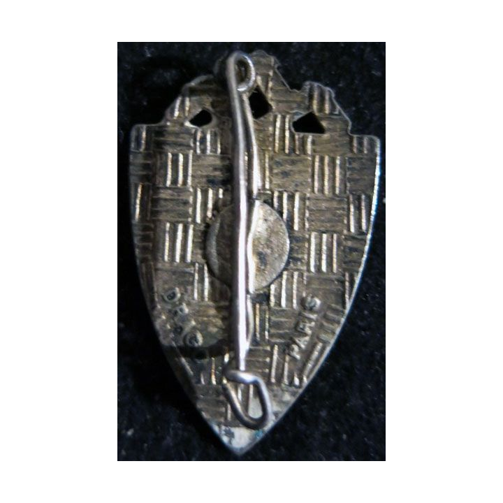 153° RI : Insigne métallique du 153° régiment d'infanterie de fabrication Drago Paris dos guilloché