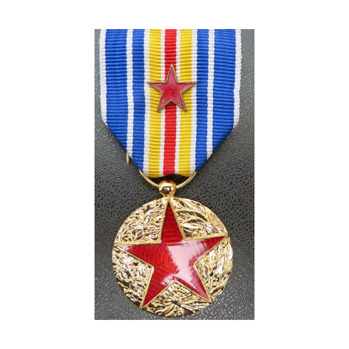 Médaille des blessés neuve actuelle en métal doré étoile translucide