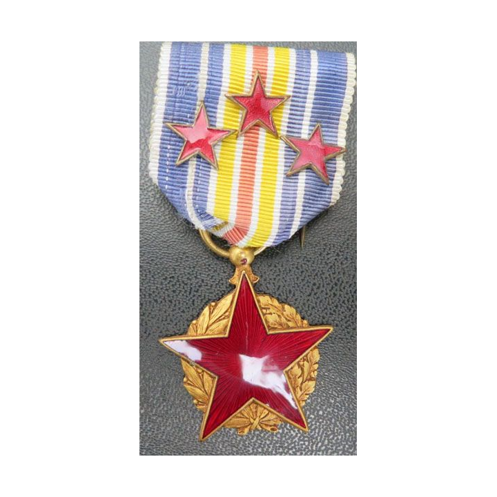 FRANCE : Médaille des blessés en bronze avec 3 étoiles rouges