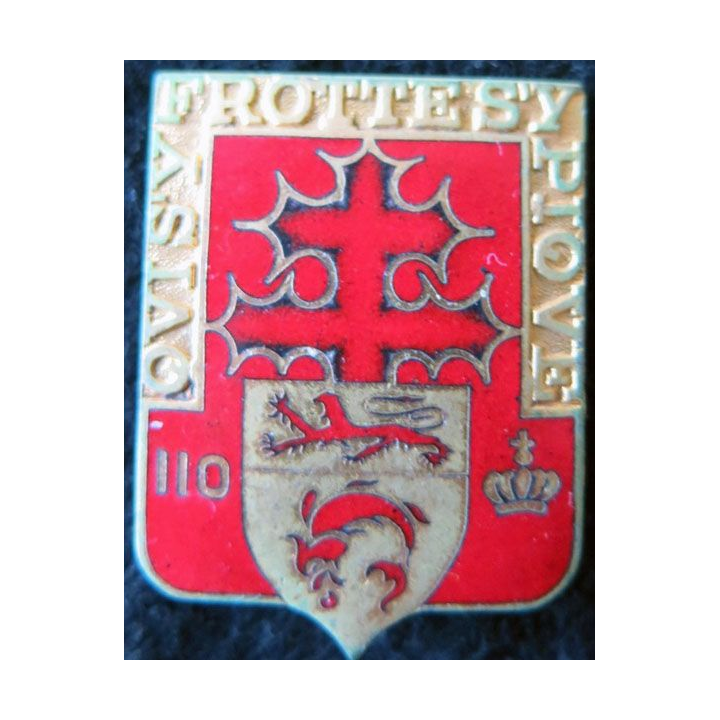 110° RI : 110° régiment d'infanterie de fabrication Drago Paris H. 114 en émail fond rouge