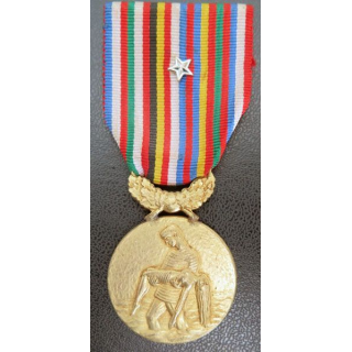 médaille SENIS société encouragement nationale internationale sauveteurs