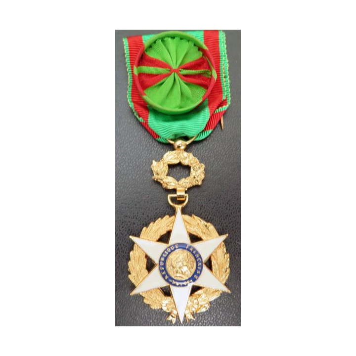 FRANCE : médaille Officier du mérite agricole 1883 en métal doré