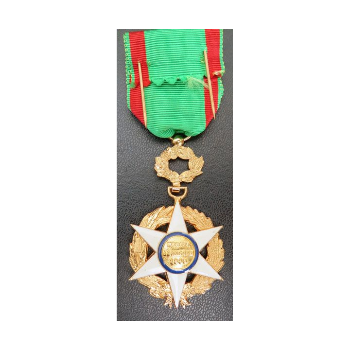 FRANCE : médaille Officier du mérite agricole 1883 en métal doré