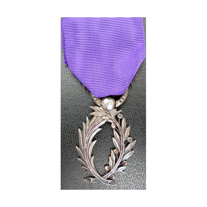 médaille de chevalier de l'Ordre des Palmes Académiques en argent