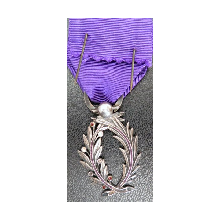 médaille de chevalier de l'Ordre des Palmes Académiques en argent