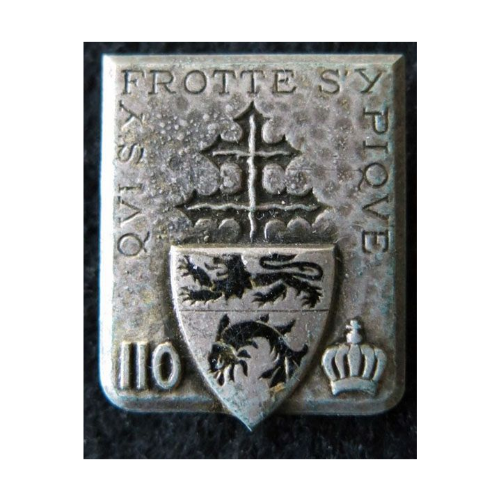 110° RI : 110° régiment d'infanterie de fabrication Drago Paris en émail