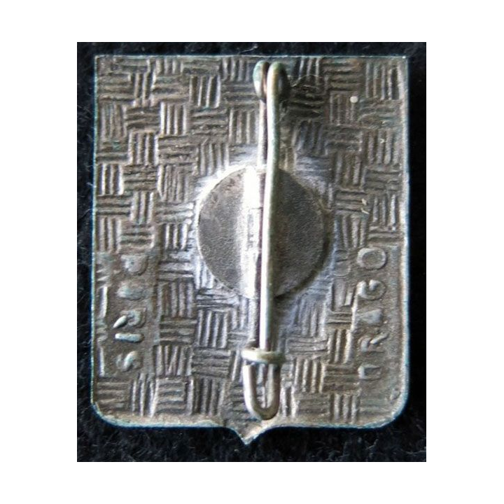 110° RI : 110° régiment d'infanterie de fabrication Drago Paris en émail