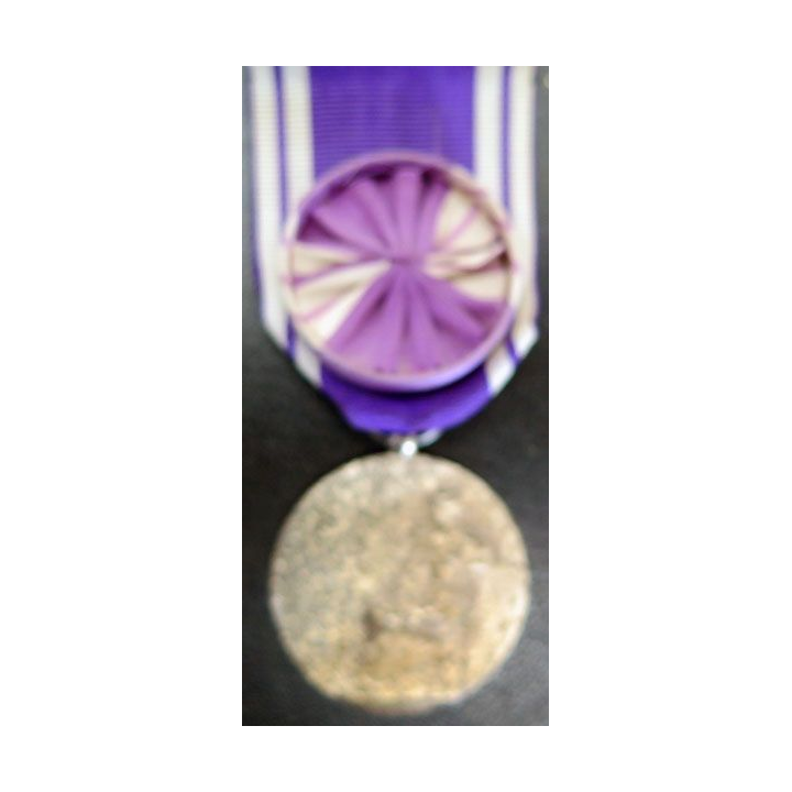  médaille d'Honneur des services bénévoles rosette et métal argenté
