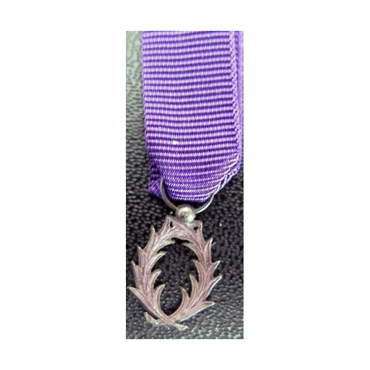 FRANCE : médaille miniature de l'Ordre des palmes académiques argent