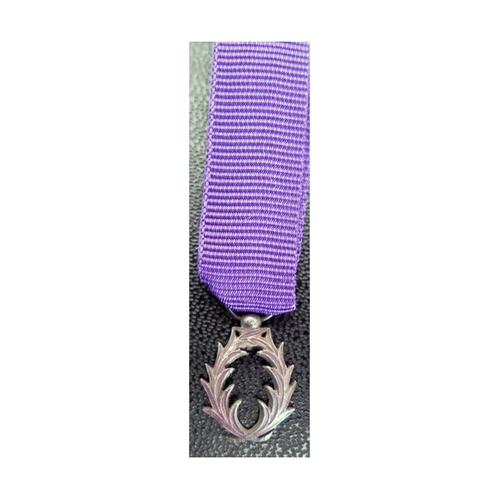 FRANCE : médaille miniature de l'Ordre des palmes académiques argent