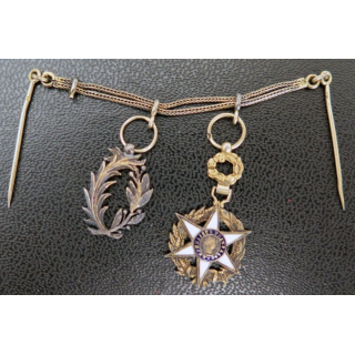 Lot de 2 décorations palmes académiques et officier mérite agricole
