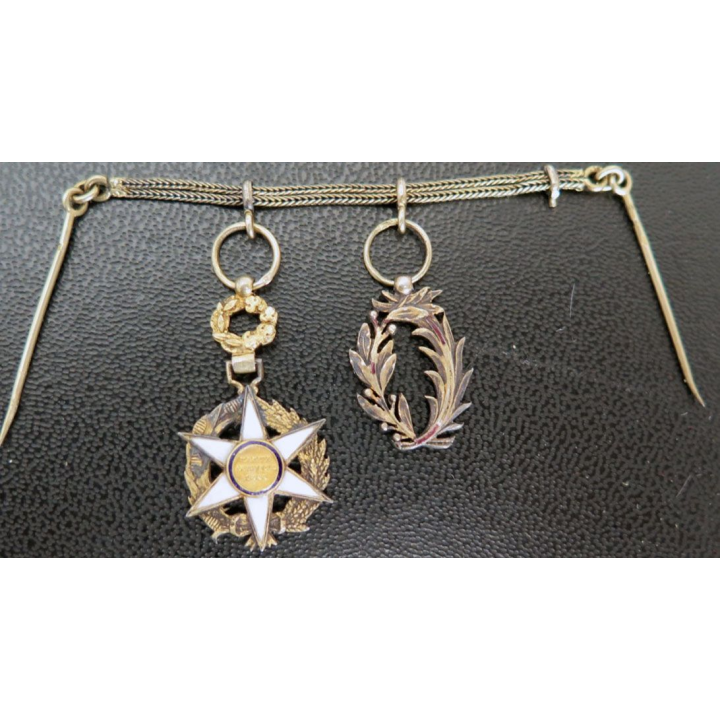 Lot de 2 décorations palmes académiques et officier mérite agricole
