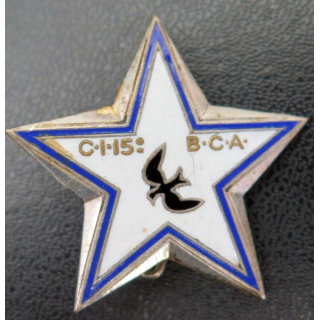 15° BCA étoile d'éclaireur skieur du 15° bataillon de chasseurs alpins