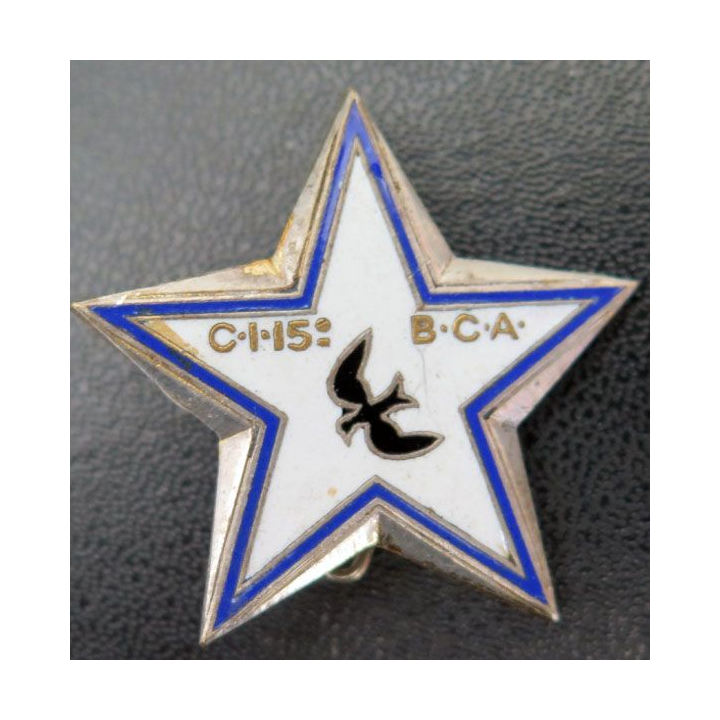 15° BCA étoile d'éclaireur skieur du 15° bataillon de chasseurs alpins