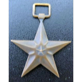  Médaille  Bronze Star Medal (étoile de bronze)