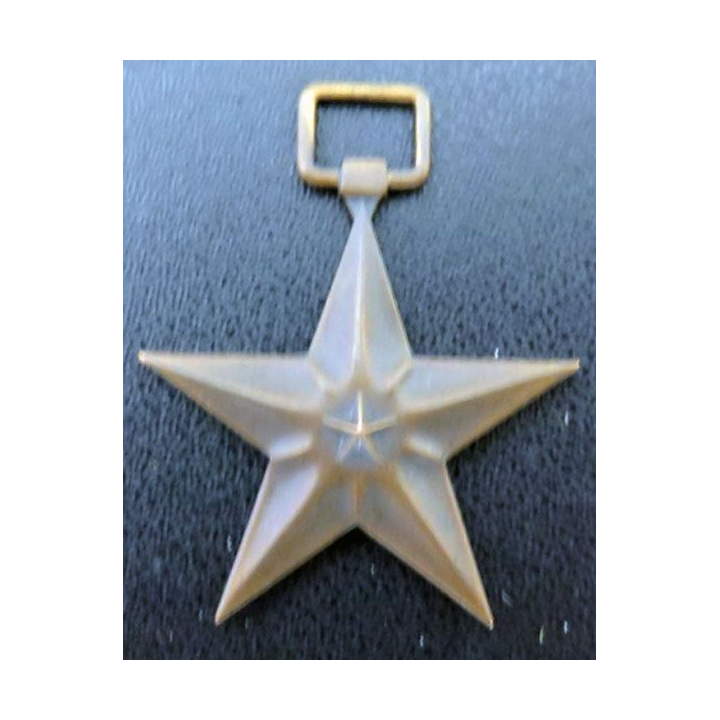  Médaille  Bronze Star Medal (étoile de bronze)