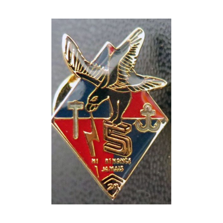 28° RT : pin's de la 5° compagnie du 28° régiment de transmissions 