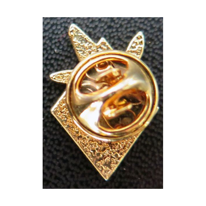 28° RT : pin's de la 5° compagnie du 28° régiment de transmissions 
