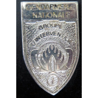 IGN : brevet 1974-2004 groupe d'intervention gendarmerie nationale