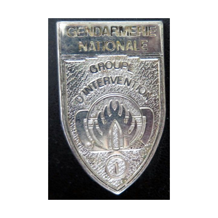 IGN : brevet 1974-2004 groupe d'intervention gendarmerie nationale