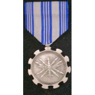 USA : AIR FORCE MERITORIOUS ACHIEVEMENT MEDAL
