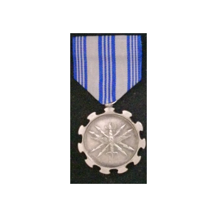 USA : AIR FORCE MERITORIOUS ACHIEVEMENT MEDAL