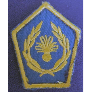 Insigne tissu de col d'école du Cameroun