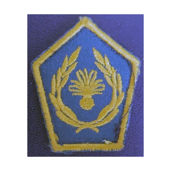 Insigne tissu de col d'école du Cameroun