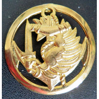 insigne de béret des troupes aéroportées d'infanterie de marine années 1970