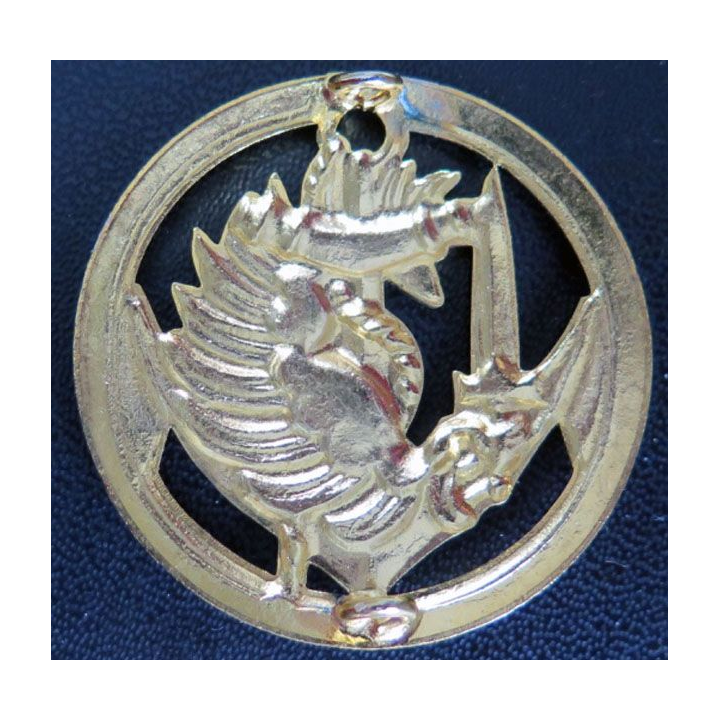insigne de béret des troupes aéroportées d'infanterie de marine années 1970
