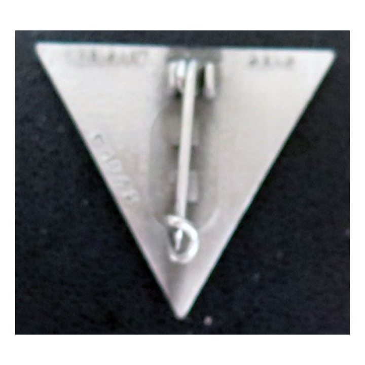 insigne du 2° régiment étranger parachutiste Delsart G.1948 
