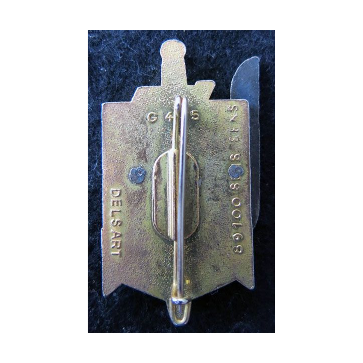 3° RPIMA : insigne métallique du 3° régiment parachutiste d'infanterie de marine de fabrication Delsart G. 445 relief