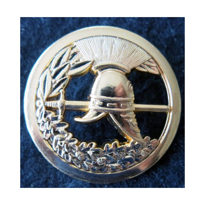 CORPS OFFICIERS EXPERTS : insigne de béret du corps des officiers experts Arthus Bertrand Paris