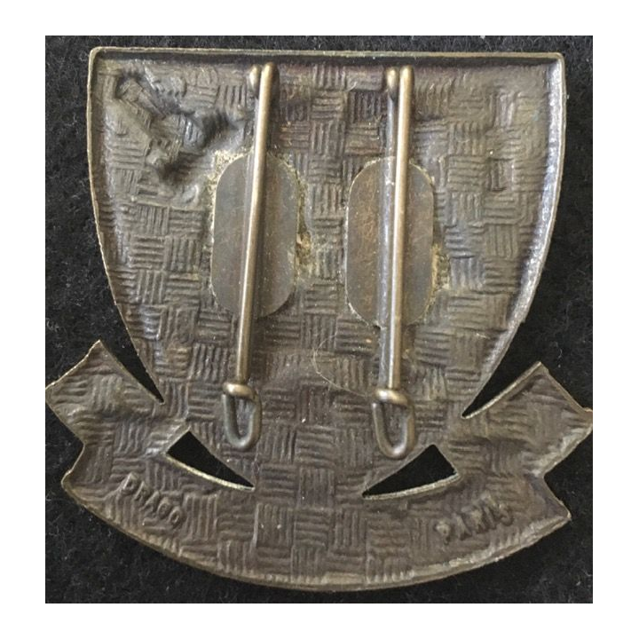 COMMANDO : insigne de béret des commandos Marine fabrication Drago deux épingles