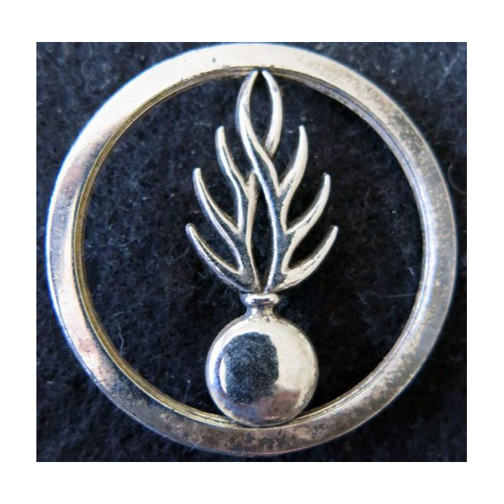 GENDARMERIE : insigne béret de la gendarmerie départementale argenté