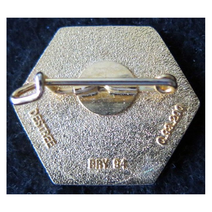 3° REI : insigne de la compagnie cdt et services type 1 du 3° régiment étranger d'infanterie Destrée