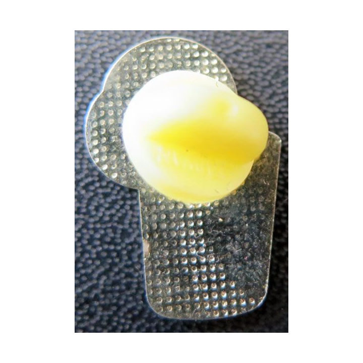 Pin's bouteille de Badoit bienvenue