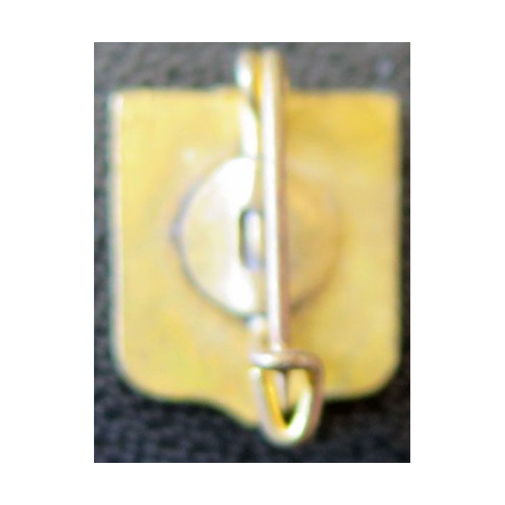 BLASON NÎMES : Boutonnière en émail de la ville de Nîmes 11 x 14 mm
