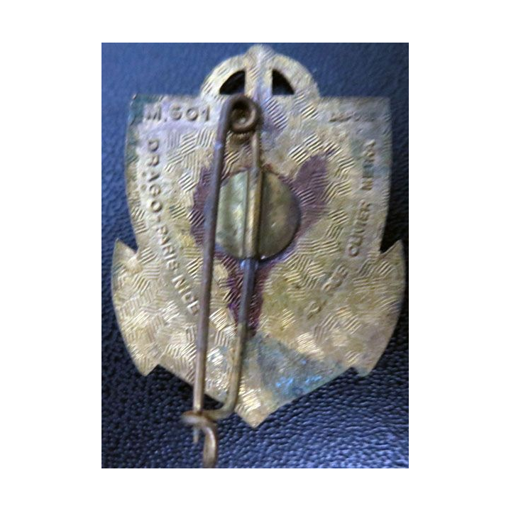 1° DINASSAU 1° division navale d'assaut Drago olivier Métra M. 501