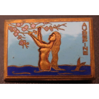 AUBEPINE : insigne du Dragueur 315 Aubépine fruits roses en émail