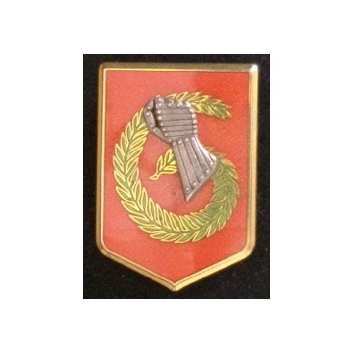 6° DB : 6° DIVISION LÉGÈRE BLINDÉE PRESTIGE