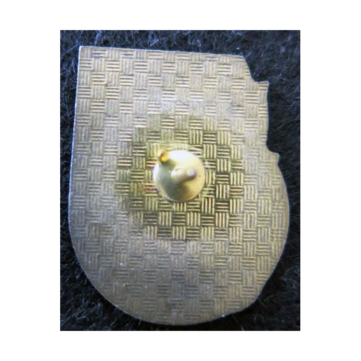 3° REI : Pin's de la 2° compagnie du 3° régiment étranger d'infanterie en métal