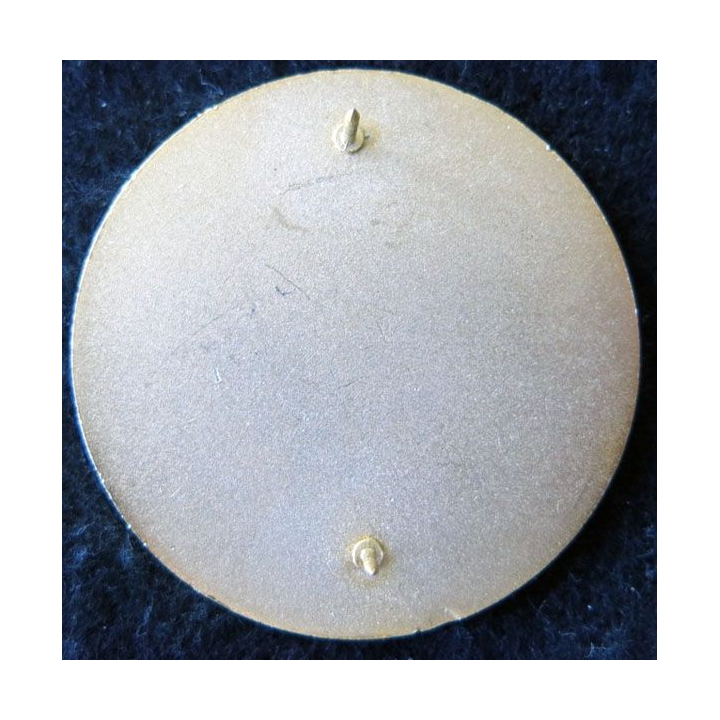 FMO : Insigne de la Force Multinationale d'Observateurs au Sinaï 48 mm attache pin's