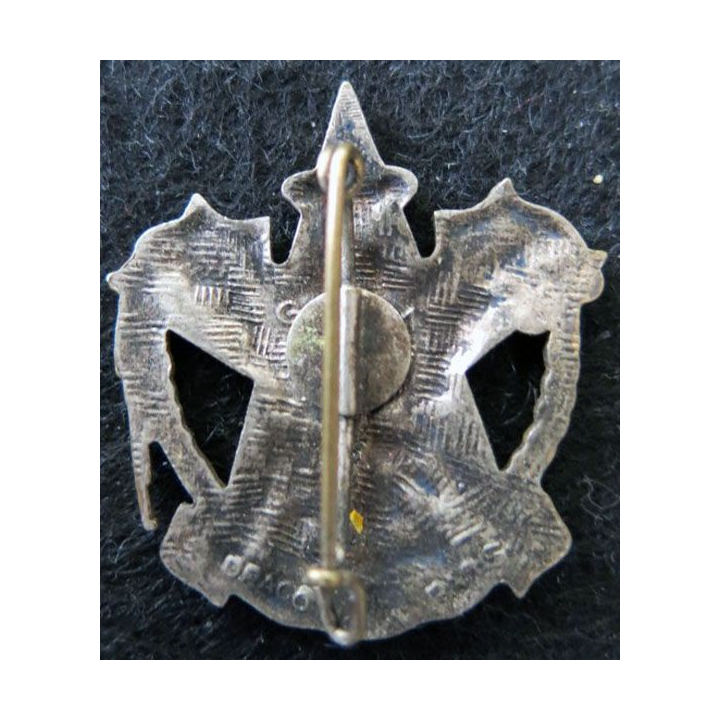26° RI : Insigne métallique du 26° régiment d'infanterie Drago  peint
