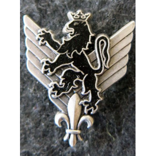 6° RHC : insigne métallique du 6° régiment d'hélicoptères de combat de fabrication Delsart G. 1904