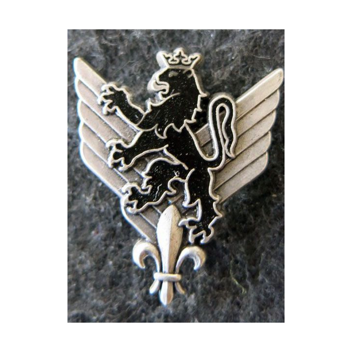 6° RHC : insigne métallique du 6° régiment d'hélicoptères de combat de fabrication Delsart G. 1904