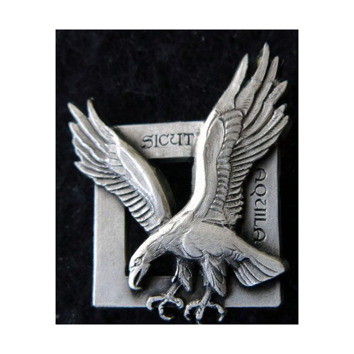 COMMANDO AIR : insigne de poitrine commandos de l'air Drago Noisiel A. 690