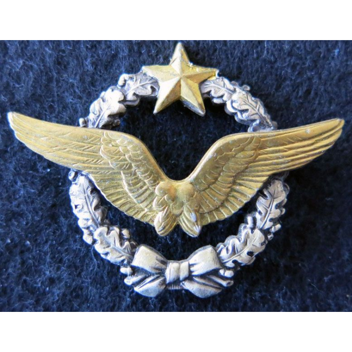 ARMÉE AIR : insigne métallique Brevet de Pilote d'avion Drago Paris 43 mm